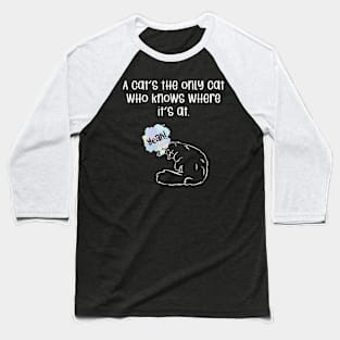 A cat's the only cat who knows where it's at. Baseball T-Shirt